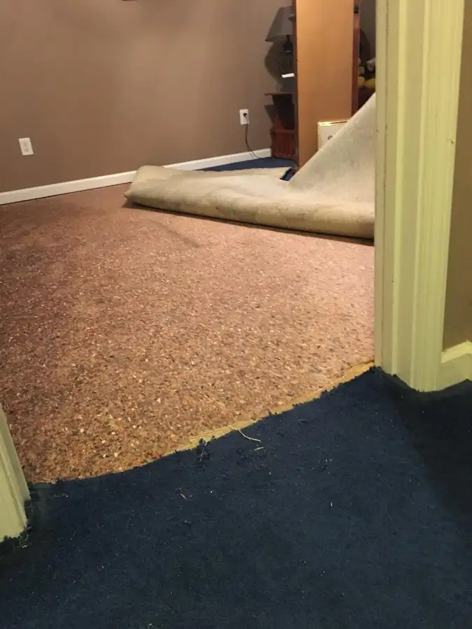 Carpet pad removal revealing water damage during Water Mitigation Services in Nappanee